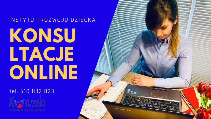 Konsultacje Online